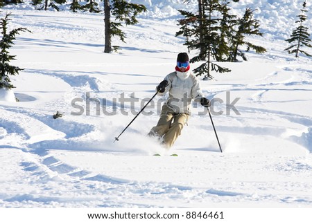 A skiier enjoying fresh snow in Whistler, BC.