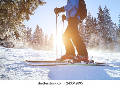 skiing - Shutterstock ID 243042895