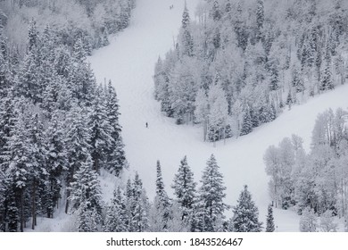 Skiing at Deer Valley, Utah, near Salt Lake City during ski season.