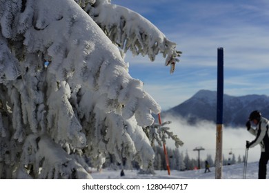 Skiing Landscape Mountainscape 