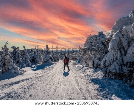 Skiing in the Ore Mountains in Saxony Imagine de stoc © 