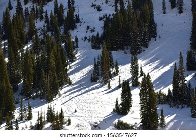 Skiing Slope At Alta Ski Resort In Early November