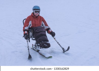 SKIING IN SPITE OF HANDICAP - Man Riding Monoski From The Mountains, Winter Sport For Disability People, Active Therapy For Wheelchair Man