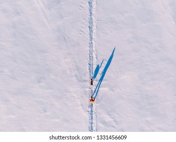 Skijor Ski On Track With Dog Malamute. Concept Winter Holiday. Aerial Top View.