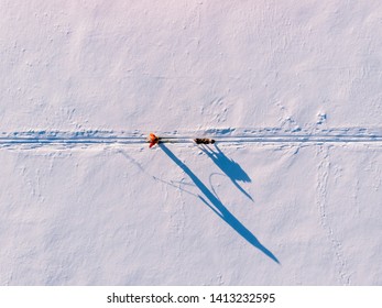 Skijor Ski On Track With Dog Malamute. Concept Winter Holiday. Aerial Top View.