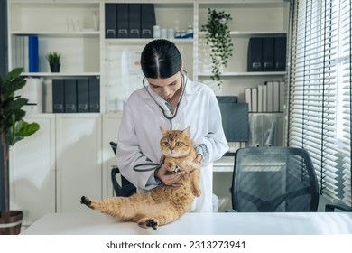 a skilled asian female veterinarian meticulously examines a charming cat with a stethoscope. the pet is on the diagnosis table in the cozy veterinary clinic - Powered by Shutterstock