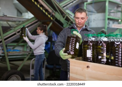 Skilled worker of artisanal olive oil factory checking and stacking plastic bottles with oil for storage - Powered by Shutterstock