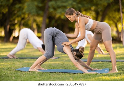 Skilled young female yoga instructor controlling technique of performing Downward Facing Dog Pose and carefully correcting position of woman body during group yoga class on green lawn in summer park - Powered by Shutterstock