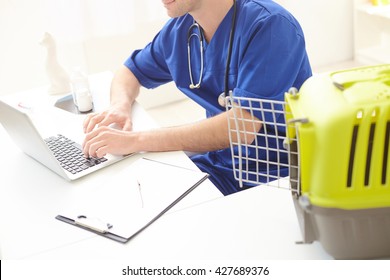 Skillful Male Vet Is Working On Computer