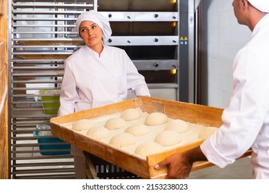 Skillful People Working Bakery Transfer Prepared Stock Photo 2153238023 ...