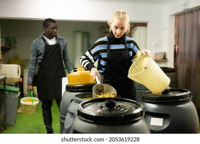 Skillful Young Woman Working In Food Producing Factory, Taking Pickled Green Olives From Brine To Fill Cans