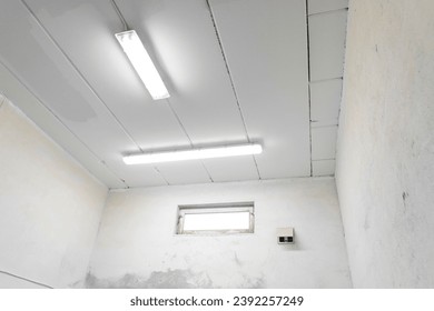 Skillfully painted garage walls exude a fresh and pristine ambiance in elegant white. - Shutterstock ID 2392257249