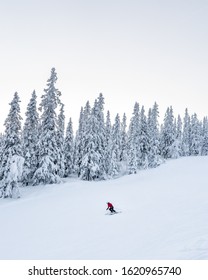 Skilope In Trysil With A Skier