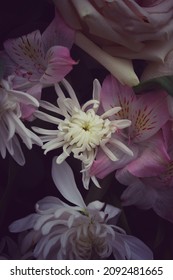 Skimpy White Flower In Full Bloom.