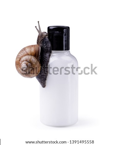 Skin care cosmetics with Snail mucus. One black snail climbing on a cosmetic cream or lotion bottle against white background.