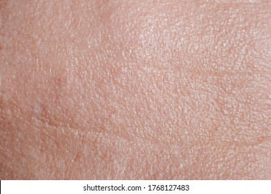 Skin on forehead with wrinkles macro close up view - Shutterstock ID 1768127483