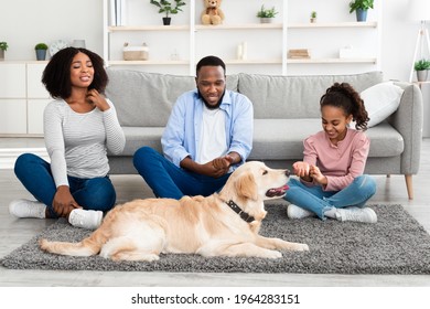 Skin Reactions To Pet Allergy. Sad Upset African American Family Scratching Their Itchy Neck And Hands, Suffering From Dermatitis Caused By Their Dog, Sitting On The Floor With Golden Retriever