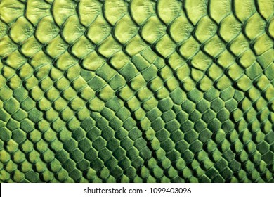 Skin Reptile Green Crocodile Skin Texture Snake Background Close-up 