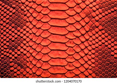 Skin Reptile Red Crocodile Skin Texture Stock Photo 1204070170 ...