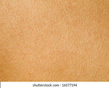 Skin Texture Background.