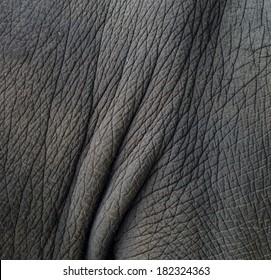 Skin Texture Of An Elephant, Close Up.