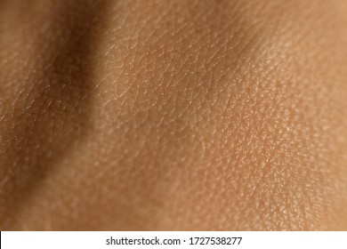 
Skin texture. Macro close-up shot of skin - Shutterstock ID 1727538277