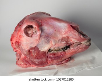 Skinned Sheep Head Meant For Cooking