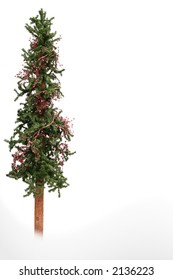 Skinny Christmas Tree Isolated On White.