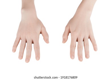 Two Hands On White Background Stock Photo (Edit Now) 63133714