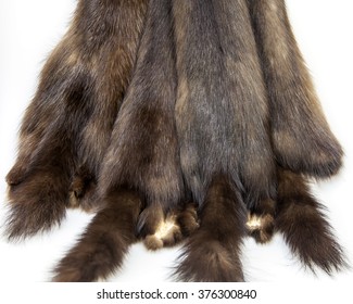 Skins Barguzin Sable Stock Photo 376300840 | Shutterstock