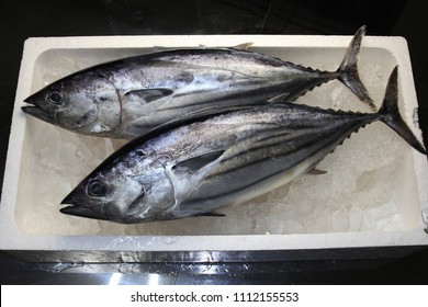 Skipjack Tuna In The Market