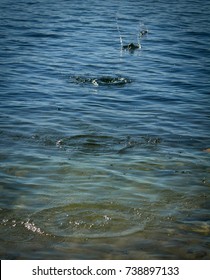 Skipping Rocks