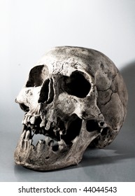 skull