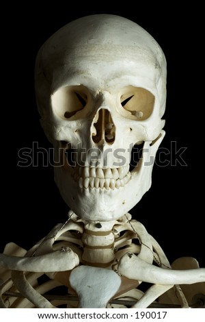 Similar – Image, Stock Photo Primate skull Primacy