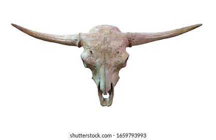 220 Long horn skull western Images, Stock Photos & Vectors | Shutterstock