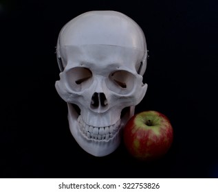 Skull and Apple 