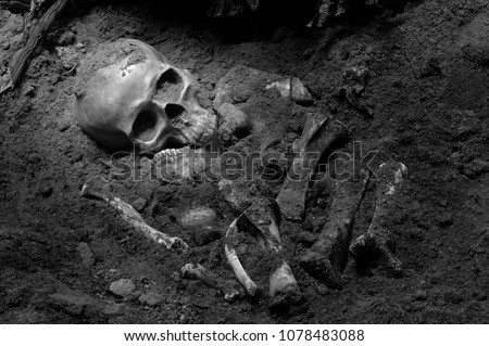 Skull and bones digged from pit in the scary graveyard which has dim light / Still life and art image adjustment color black and white style