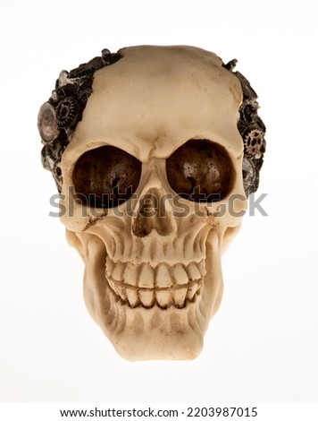 Skull and cogs home made skull with cogs for brains dramatic day of dead statue created by photograper Thailand Asia