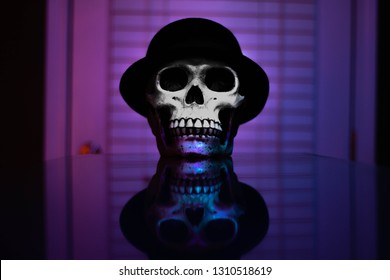 Skull With Fedora. Deep Purple Background. Soft Reflections.