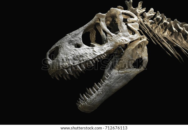 skull head dinosaur