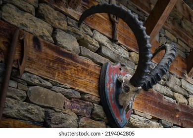 Skull Head Of An Ibex Antler Mounted On Stone Wall Of Castle.