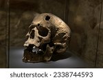 Skull with hole on forehead kept in Rynek Underground Museum. Murder in Antiquity