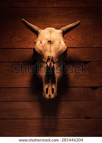 Skull with horns of an artefactual animal on a wooden background Stock photo © 