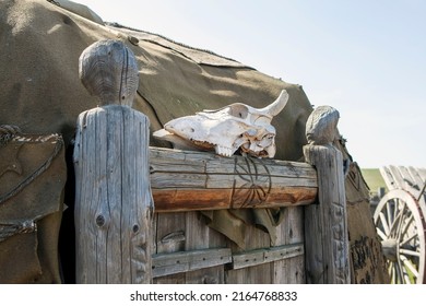 The skull of a horse as a talisman against evil spirits over the entrance to the yurt of the Khan of the Golden Horde. Sarai-Batu. Astrakhan region. Russia - Shutterstock ID 2164768833
