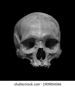 Skull of the human, black and white photo