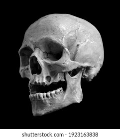Skull of the human isolated on a black background. Black and white photo - Shutterstock ID 1923163838
