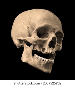 Skull of the human isolated on a black background. Sepia color photo