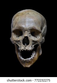 Skull of the human on a black background.