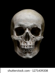 Skull Isolated on black - Shutterstock ID 1271439208