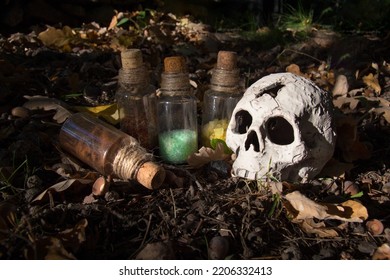 Skull And Magic Ingredients Among The Foliage